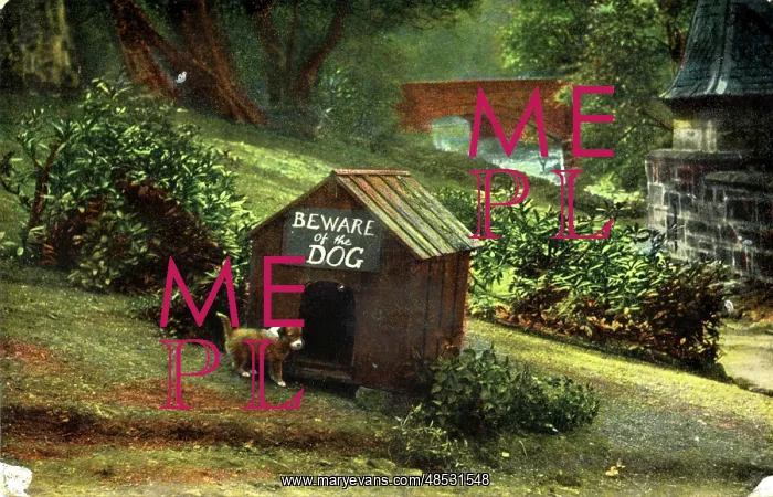  : Dog & Kennel