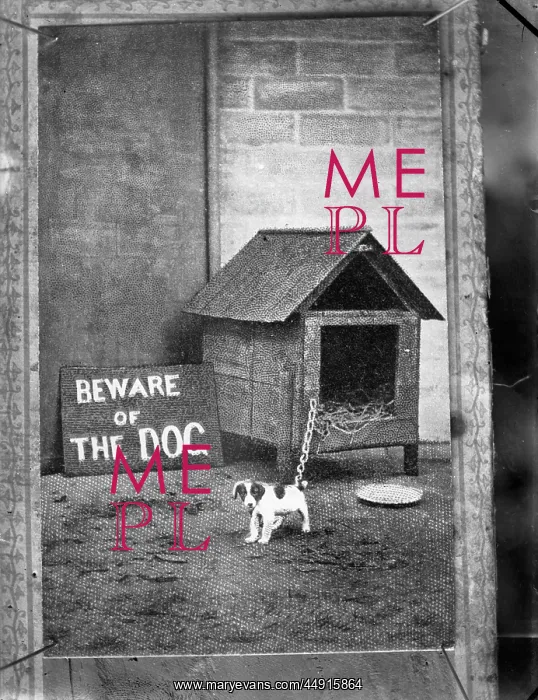 : Dog and kennel Boswell : Dog and kennel Boswell