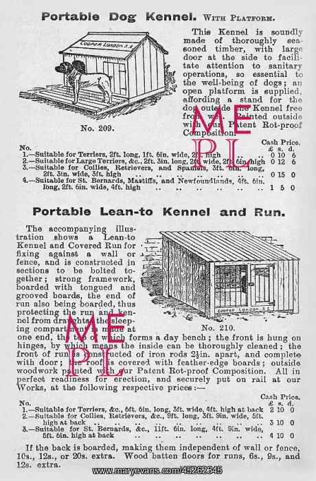 : Dog kennels : Dog kennels