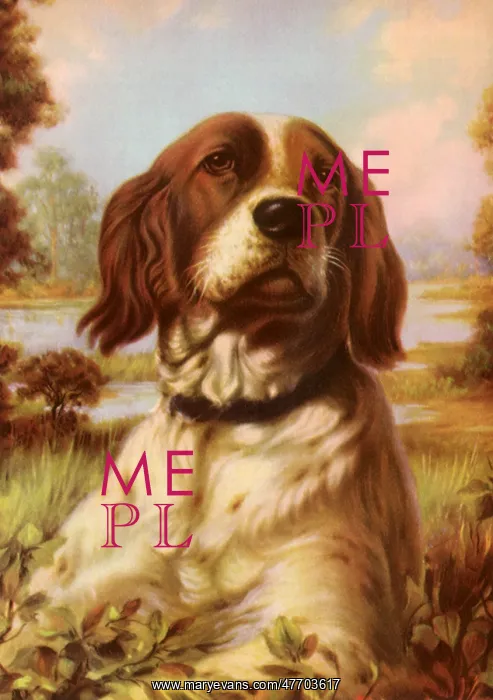  : Dog Listening For Call