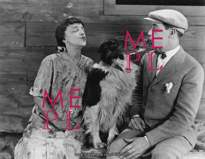 : Dog in middle of couples kiss : Dog in middle of couples kiss