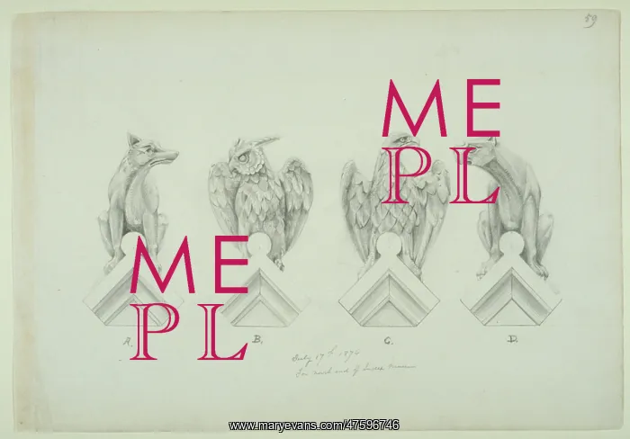 : Dog, owl and eagle design : Dog, owl and eagle design