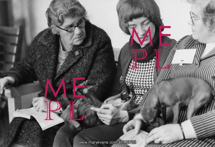 : Dog owners and lapdogs at a dog show : Dog owners and lapdogs at a dog show