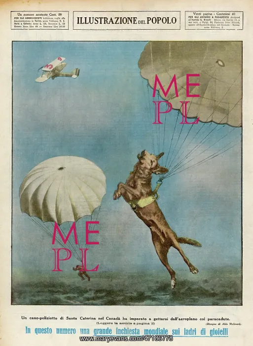: DOG PARACHUTIST : DOG PARACHUTIST