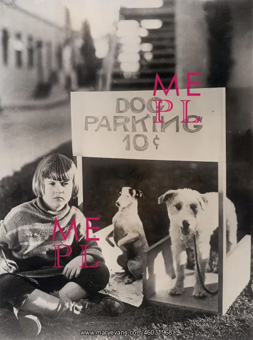 : Dog Parking 10 Cents : Dog Parking 10 Cents