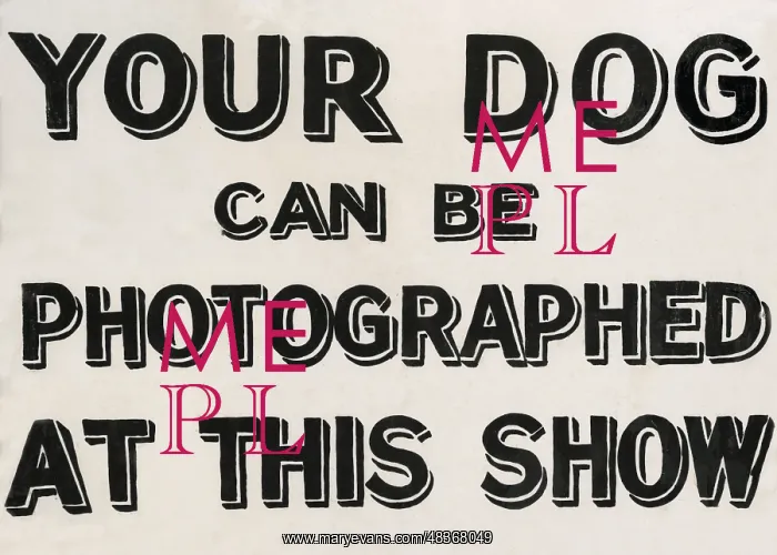 : Your dog can be photographed sign : Your dog can be photographed sign