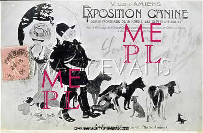  : DOG SHOW POSTER AMIENS