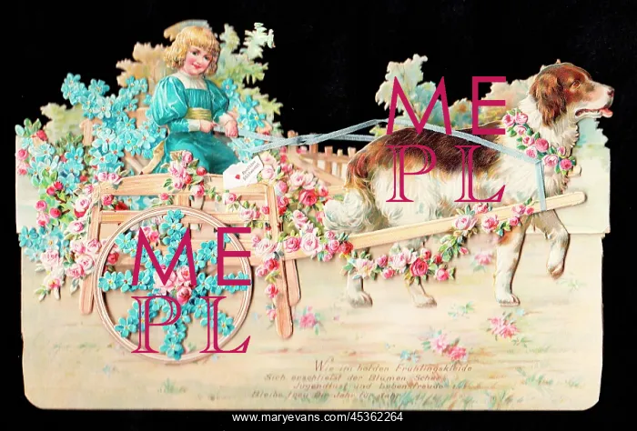 : Dog pulling a cart on a German greetings card : Dog pulling a cart on a German greetings card