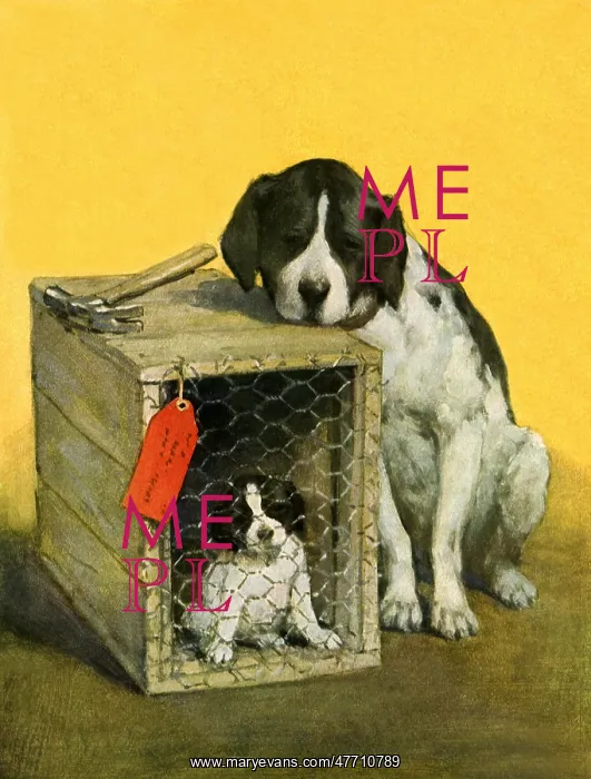  : Dog with Pup in Cage