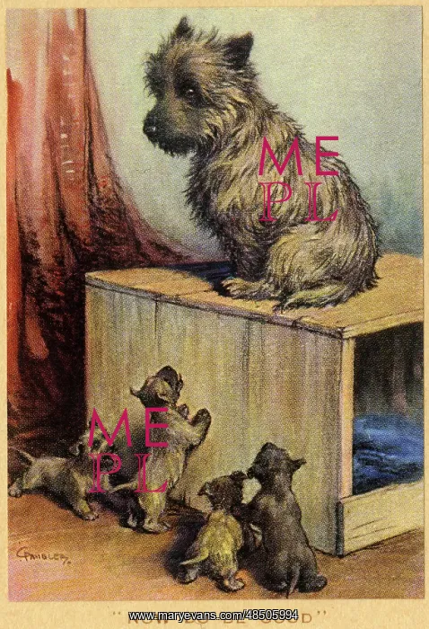  : Dog and Puppies - Now Do Be Good