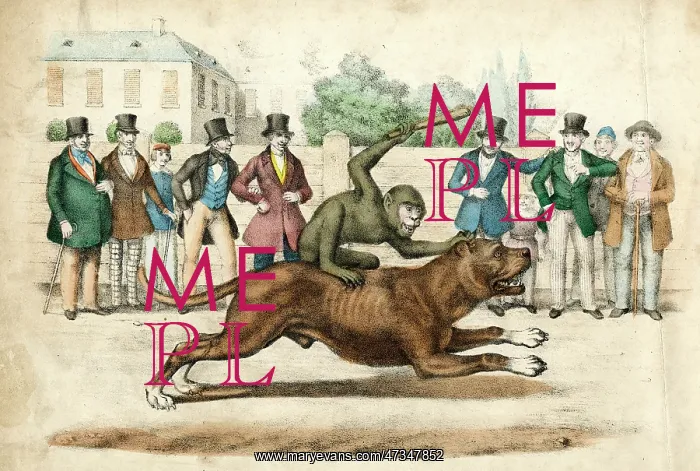 : DOG RIDDEN BY MONKEY : DOG RIDDEN BY MONKEY