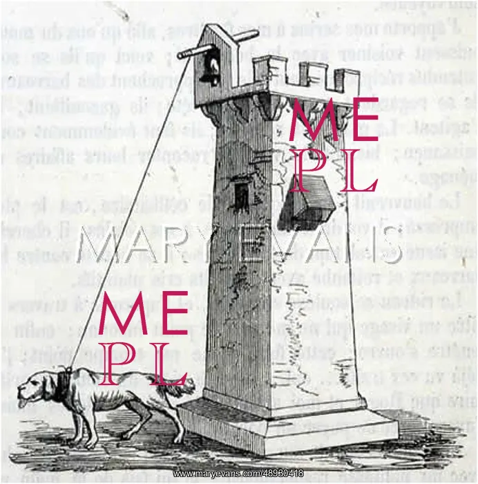 : THAT DOG RINGS A BELL : THAT DOG RINGS A BELL