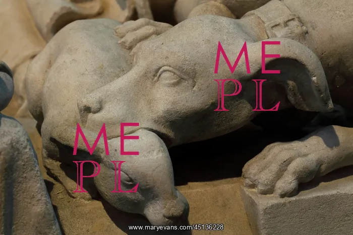  : Dog, Royal tombs, Basilique Saint-Denis, Saint-Denis, France