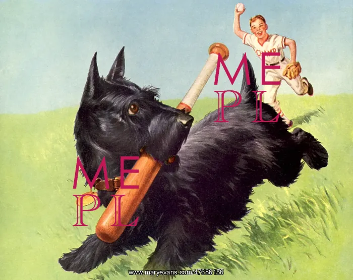  : Dog Running with Bat