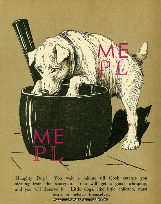 : DOG AND SAUCEPAN : DOG AND SAUCEPAN