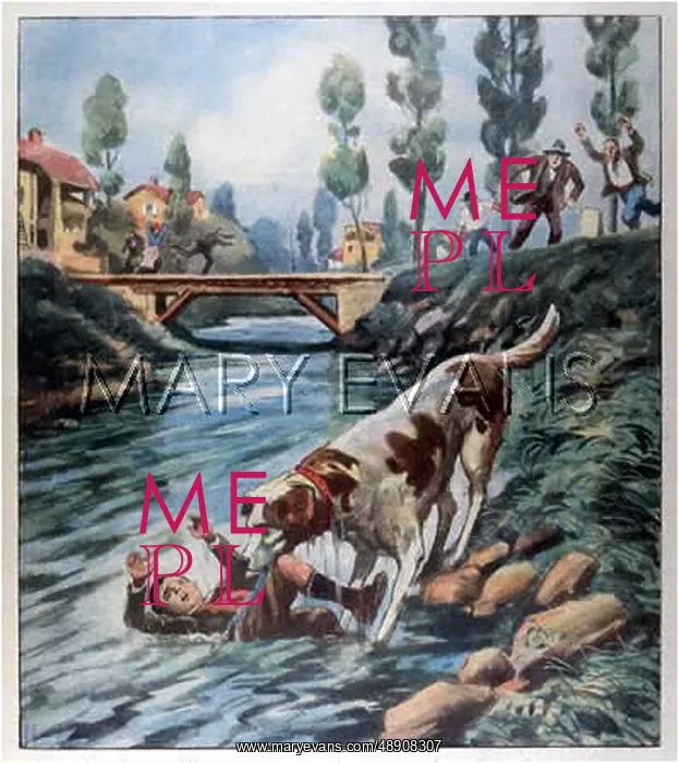 : DOG SAVES BOY, ITALY : DOG SAVES BOY, ITALY