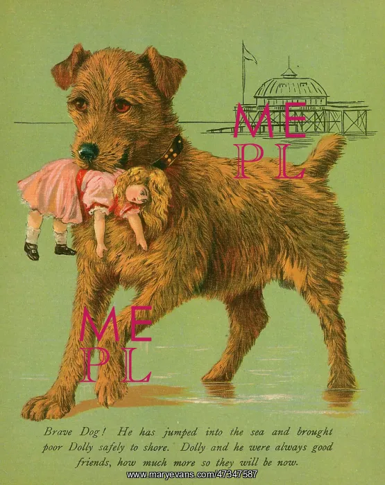 : DOG SAVES DOLL FROM SEA : DOG SAVES DOLL FROM SEA