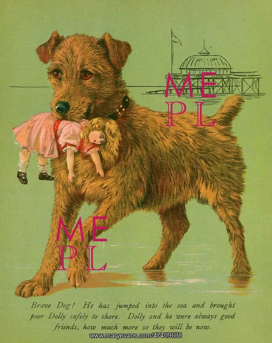 : DOG SAVES DOLL FROM SEA : DOG SAVES DOLL FROM SEA