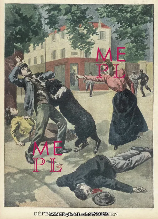 : DOG SAVES MISTRESS : DOG SAVES MISTRESS