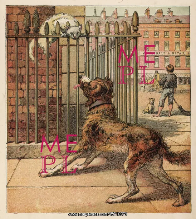 : DOG SCARING CAT : DOG SCARING CAT