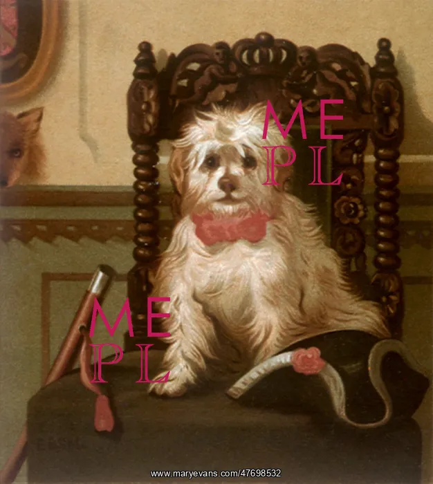  : Dog Seated on Chair