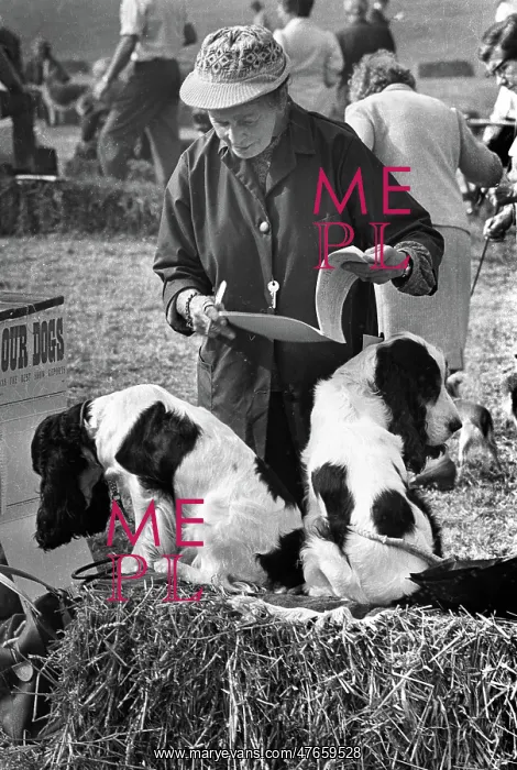 : Dog Show, Hereford : Dog Show, Hereford