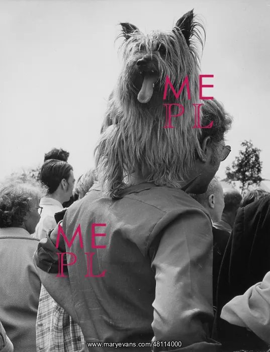 : Dog show, Platt Fields Park, Manchester : Dog show, Platt Fields Park, Manchester