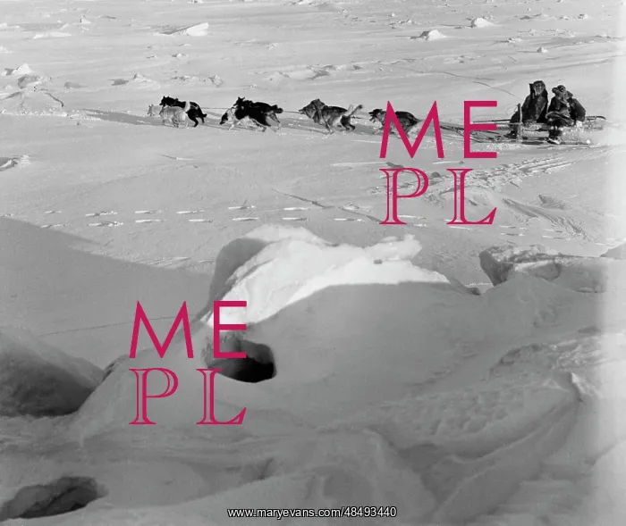 : Dog sled. CHUKOTSKY A. S. S. R. USSR. January 1, 1974 : Dog sled. CHUKOTSKY A. S. S. R. USSR. January 1, 1974