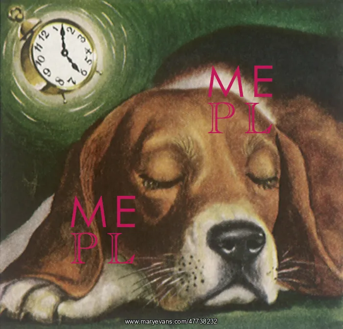  : Dog Sleeps as Alarm Clock Rings