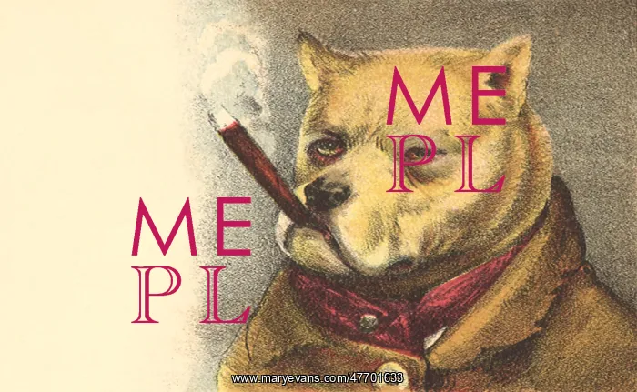  : Dog Smoking Cigar