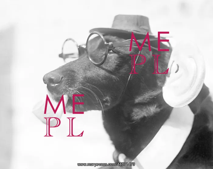 : Dog with Specs and Pipe : Dog with Specs and Pipe