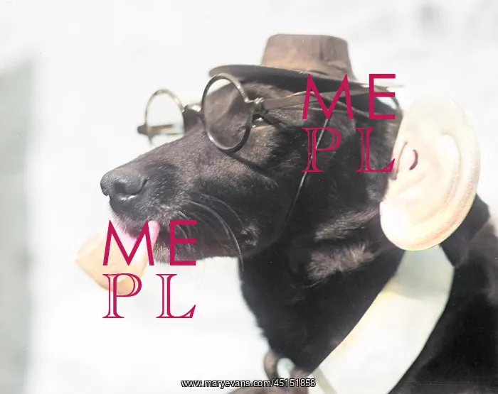 : Dog with Specs and Pipe : Dog with Specs and Pipe