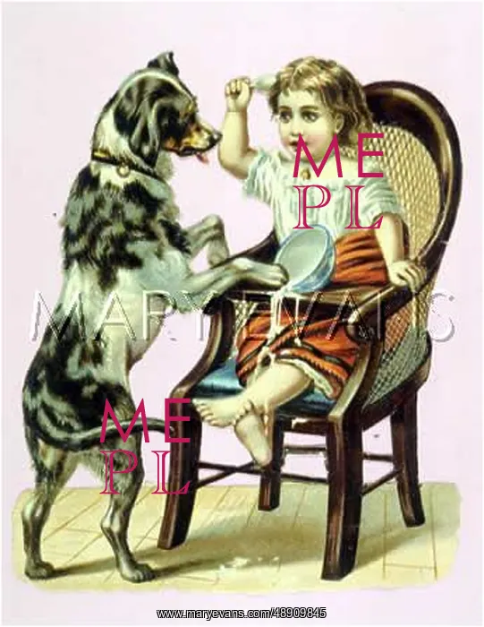  : DOG SPILLS CHILDS MILK