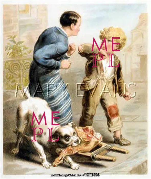 : DOG STEALS MEAT : DOG STEALS MEAT