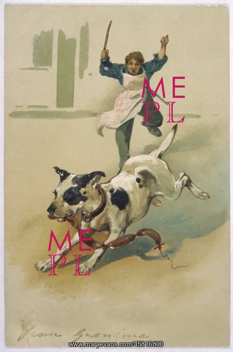  : DOG STEALS SAUSAGES