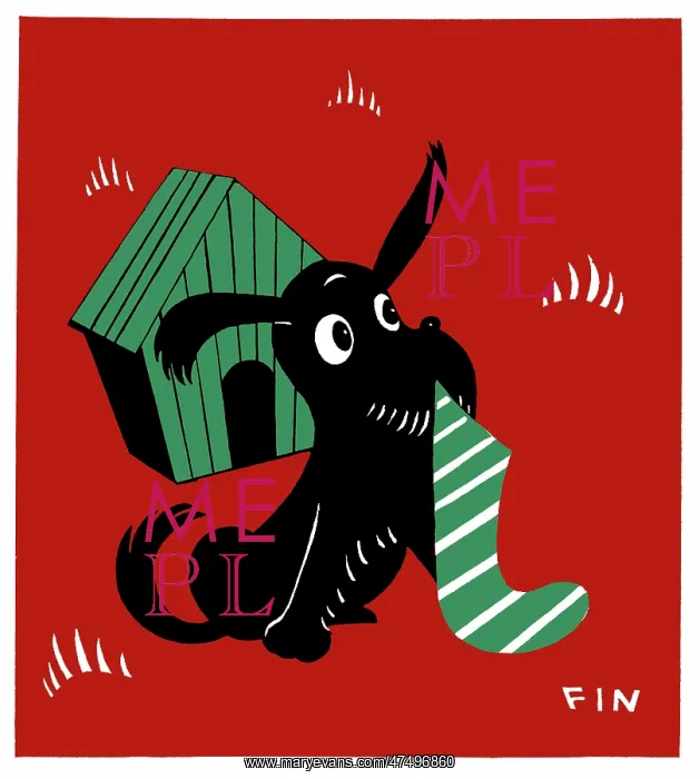 : Dog with a stocking outside a kennel : Dog with a stocking outside a kennel