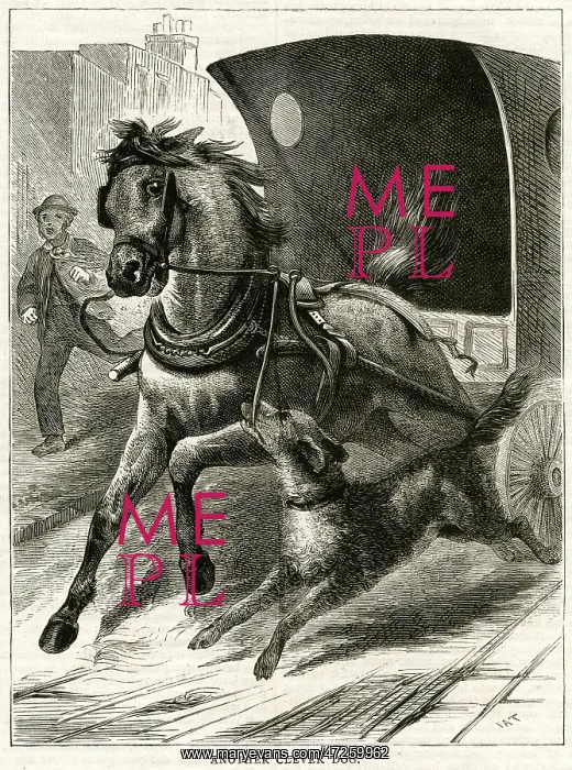 : DOG STOPS HORSE : DOG STOPS HORSE
