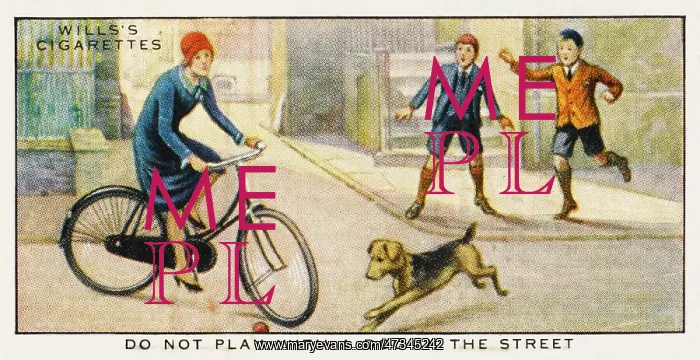 : The Dog in the Street : The Dog in the Street