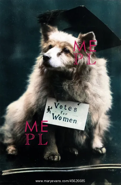 : DOG SUFFRAGETTE : DOG SUFFRAGETTE