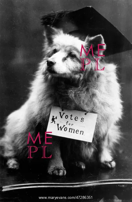 : DOG SUFFRAGETTE : DOG SUFFRAGETTE