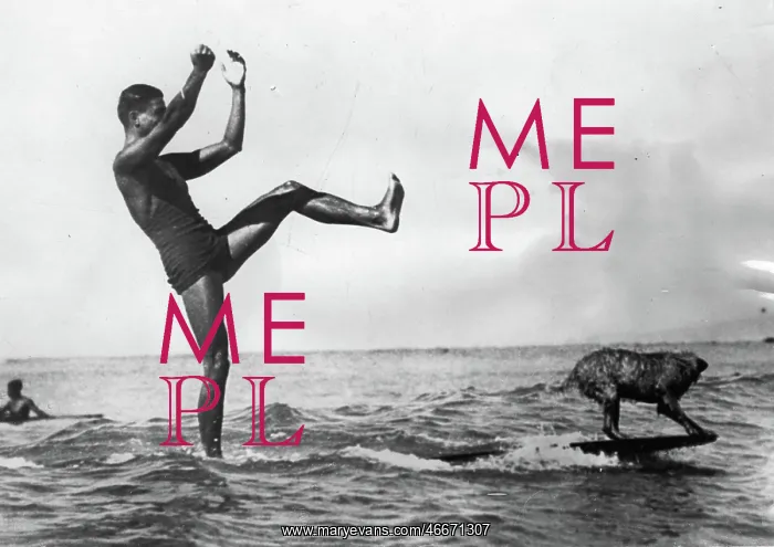 : A dog on a surfboard. With its owner : A dog on a surfboard. With its owner