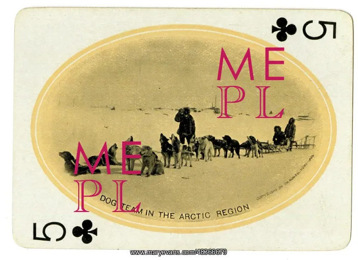 : Dog Team in the Arctic Region : Dog Team in the Arctic Region