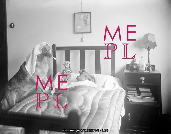 : DOG-TOR AND PATIENT : DOG-TOR AND PATIENT