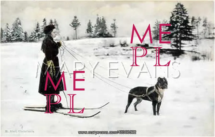  : DOG TOWS SKIER