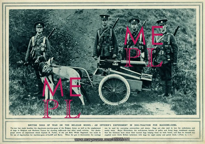 : Dog traction for machine guns : Dog traction for machine guns