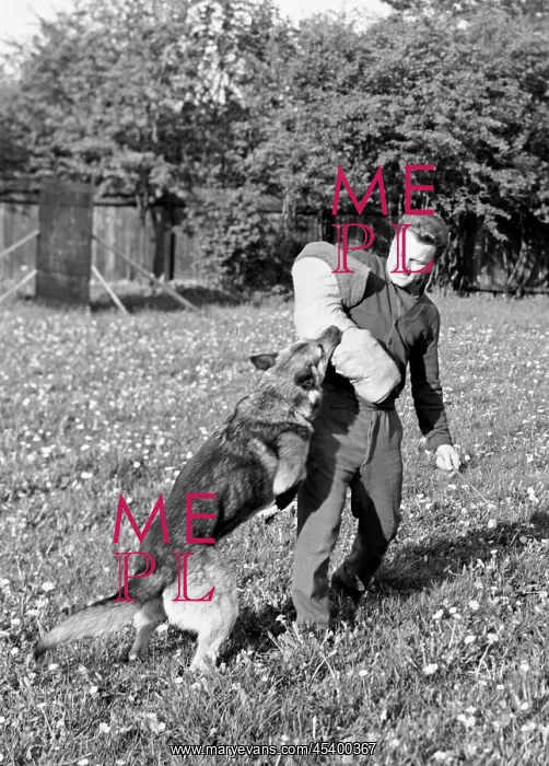 : Dog training - Svazarm - K9 : Dog training - Svazarm - K9