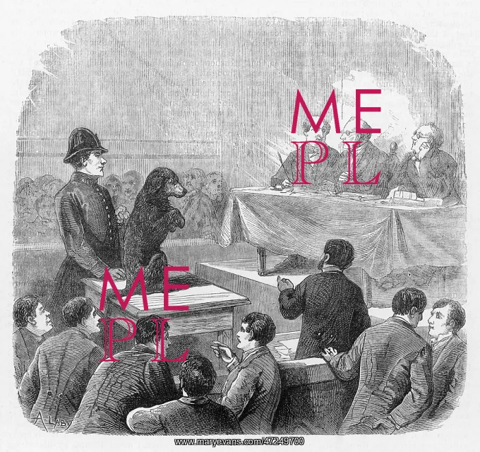  : Dog on Trial