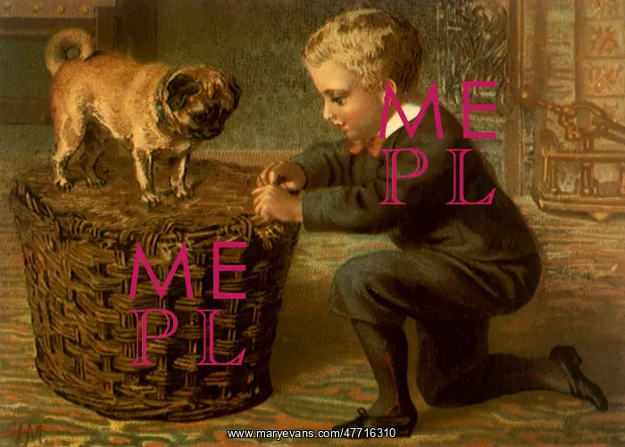: Dog Watches Boy : Dog Watches Boy
