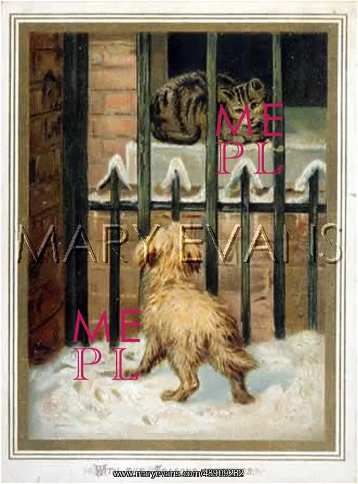 : DOG WATCHES CAT : DOG WATCHES CAT