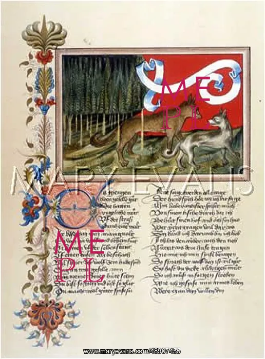 : DOG AND WOLF : DOG AND WOLF